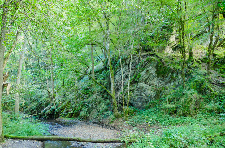 Wandern in der Zollernalb