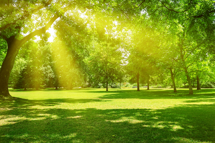 Die schönsten Parks der Zollernalb